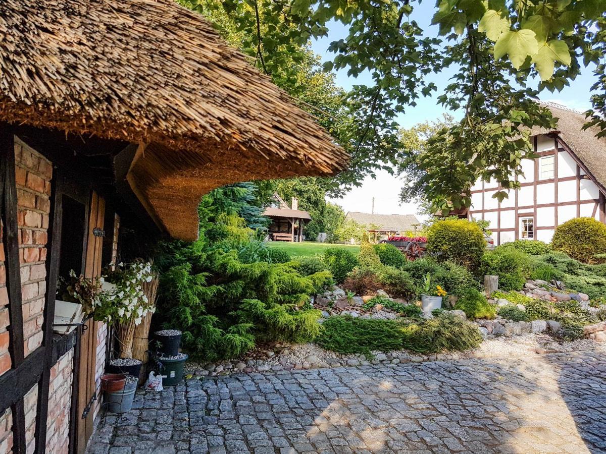 Zagroda U Macieja Ustka Dış mekan fotoğraf